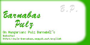 barnabas pulz business card